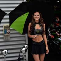 570monster-grid-girls-worldsbk-lausitzring-2017jpg