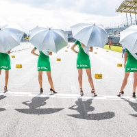 Grid Girls von der IDM in Assen 2017