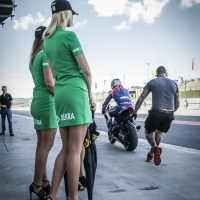IDM Grid Girls in Oschersleben