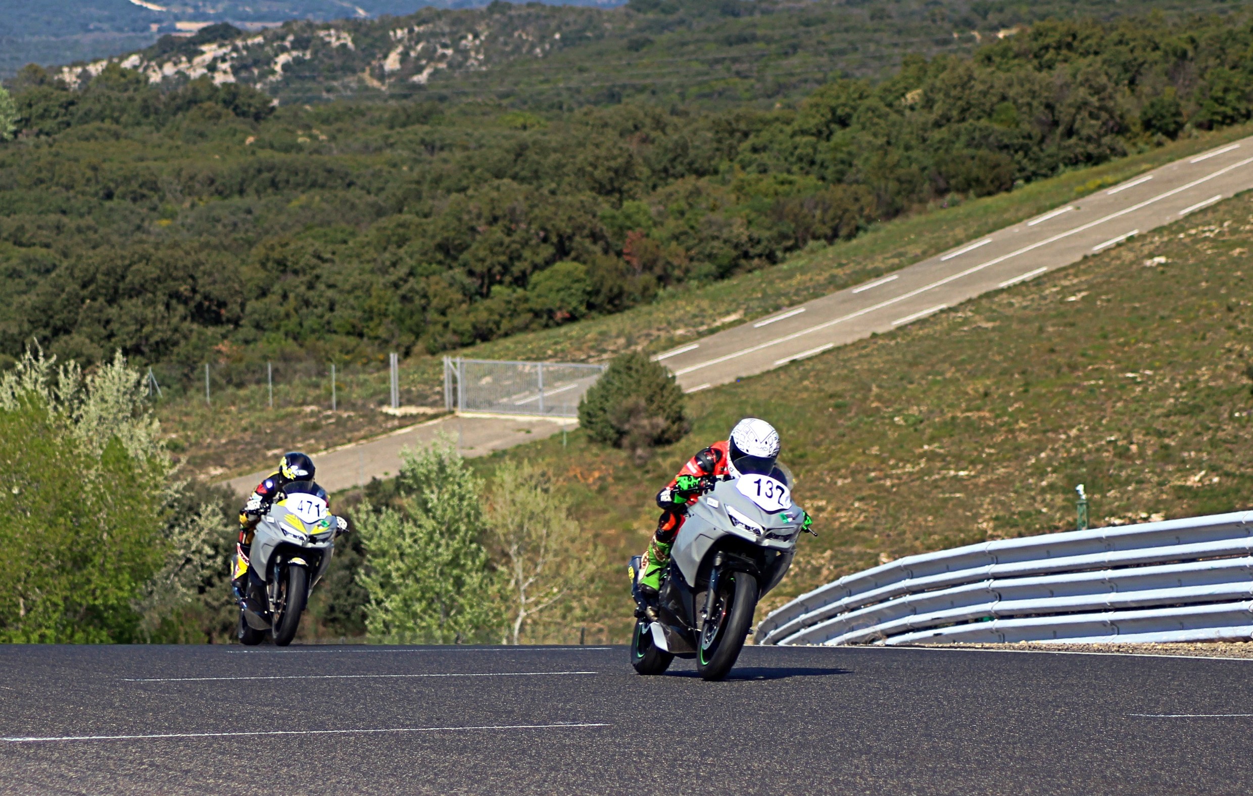 IDM SSP 300: Nestbau bei Beinlich und Erhard zu Ostern