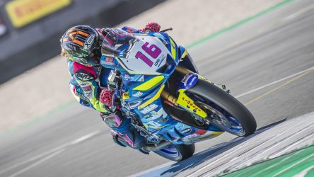 IDM SSP 300: Lucy Michel gibt Weihnachtsbaum einen Korb